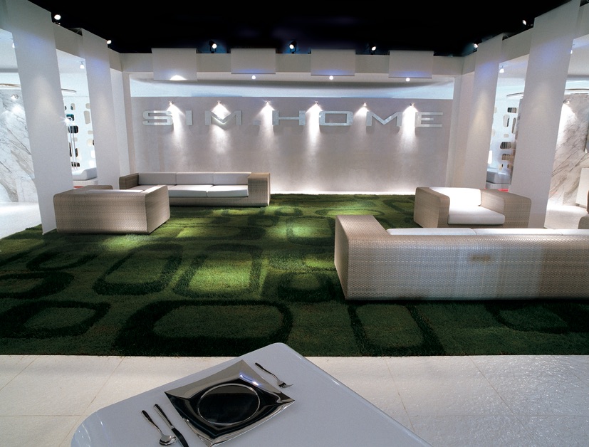 sim-home Simone Micheli