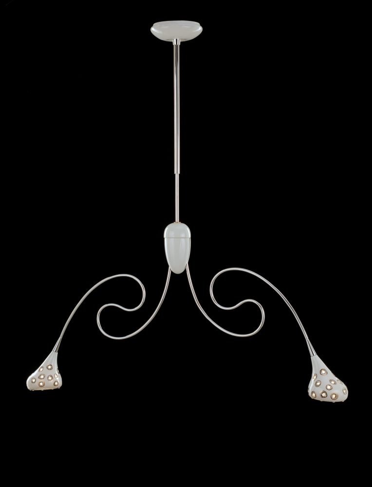 allium Simone Micheli
